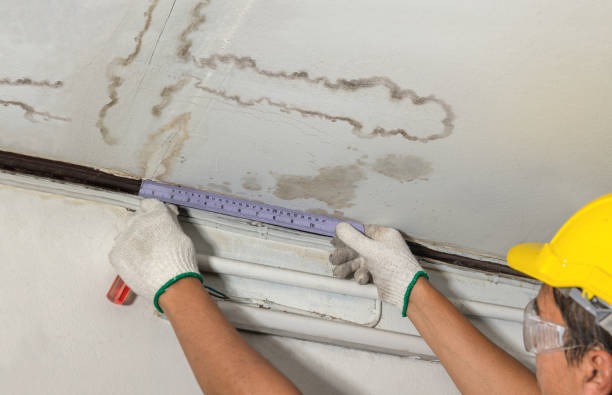 Reliable Water Damage Repair contractor in Edwardsville, KS by Aqua Guard Water Damage